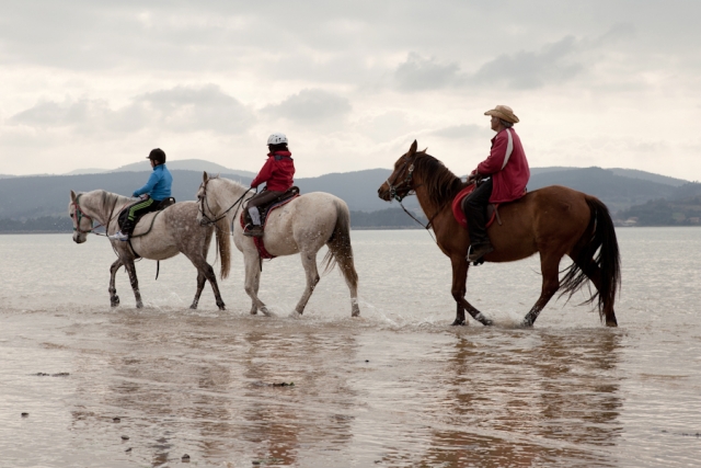 Recorre la playa de Laredo a lomos de un caballo